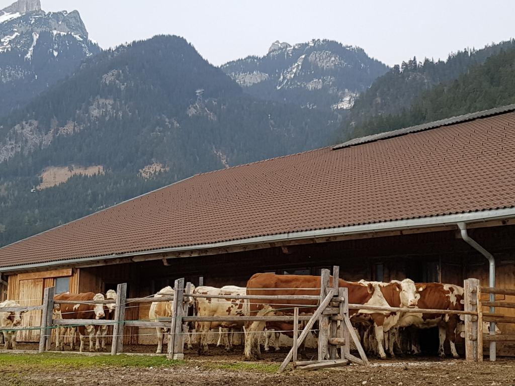 Haidacherhof Eben am Achensee Zewnętrze zdjęcie